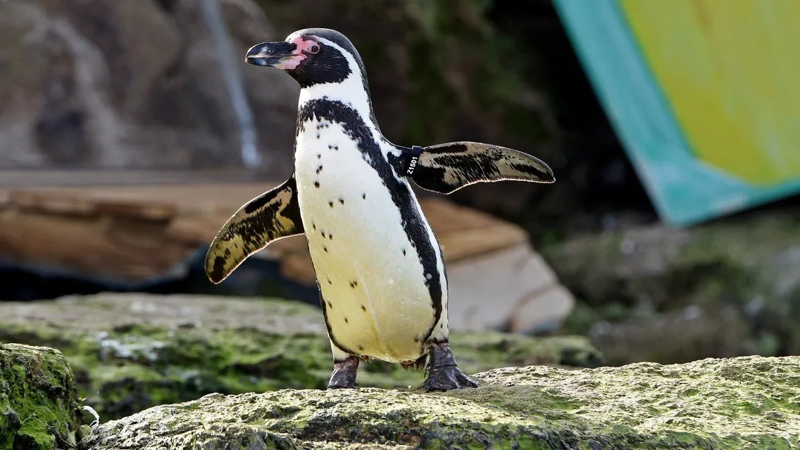 Chessington World of Adventures - 1 Day Entry