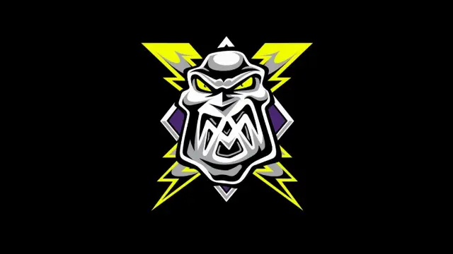 Manchester Storm — performer image