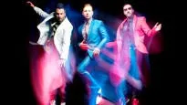 The Potbelleez